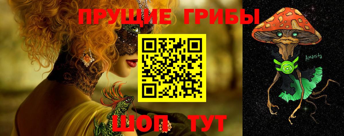 Псилоцибиновые грибы GOLDEN TEACHER Кисловодск