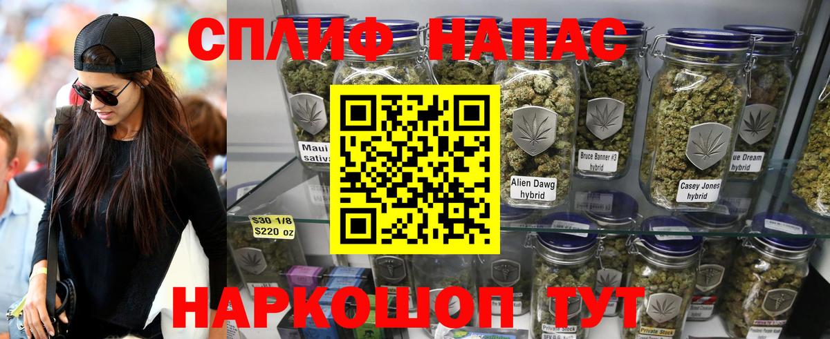 COCAIN Кисловодск